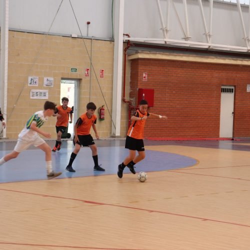 58b67443 c28e 4a3c 953d 8b4f9d2bcb6a