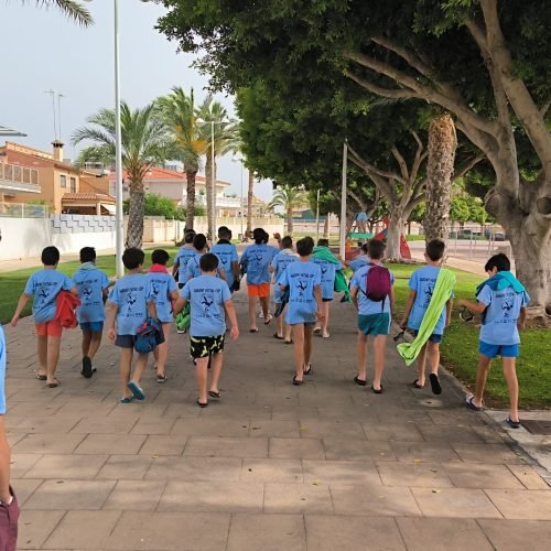 8edc5367 8dc5 4bfd 884a fc1d86f929fa